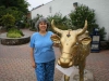 Another lovely cow