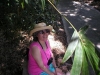 In Orlando for ALA 2004