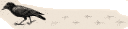 4.gif