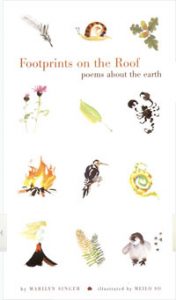 FOOTPRINTS ON THE ROOF: Poems About the Earth