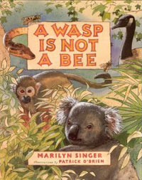A WASP IS NOT A BEE